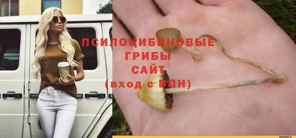 крисы Верхнеуральск