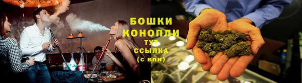 ГАЛЛЮЦИНОГЕННЫЕ ГРИБЫ Верхний Тагил