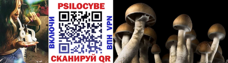 Галлюциногенные грибы Psilocybe  Мончегорск 
